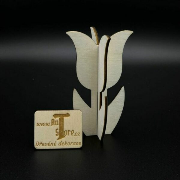 3D Tulipán
