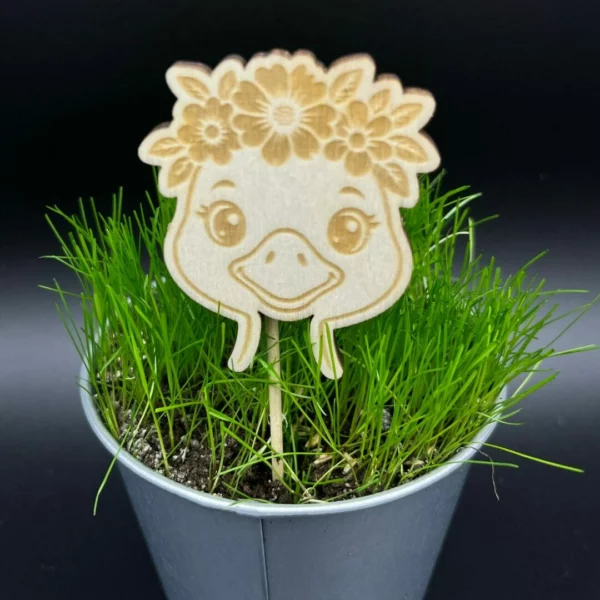 Zápich do truhlíku – Husa