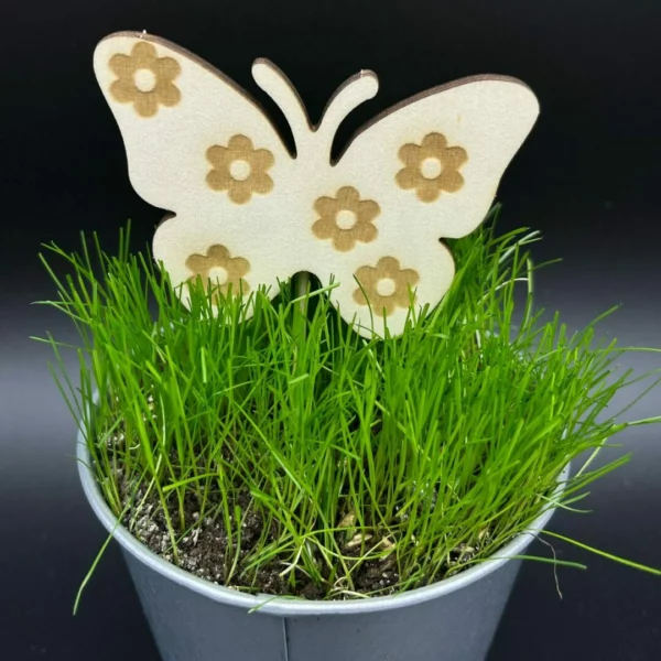 Zápich do truhlíku – Motýl