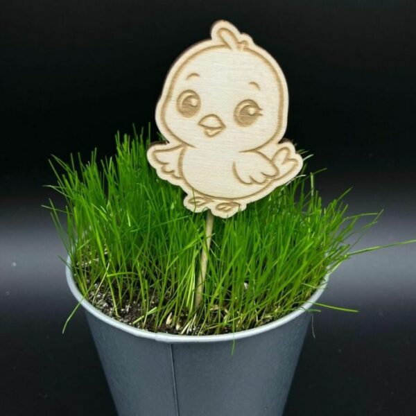 Zápich do truhlíku – Ptáček