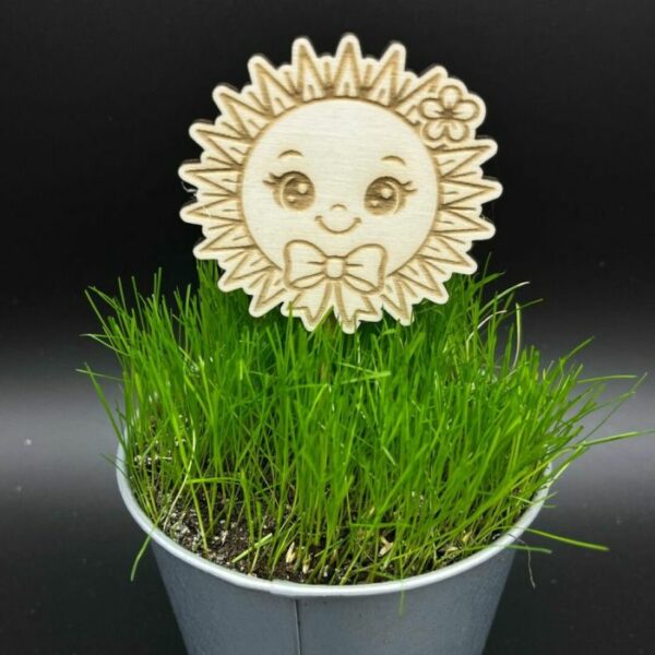 Zápich do truhlíku – Sluníčko