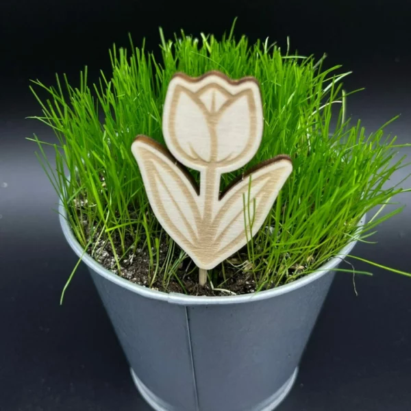 Zápich do truhlíku – Tulipán