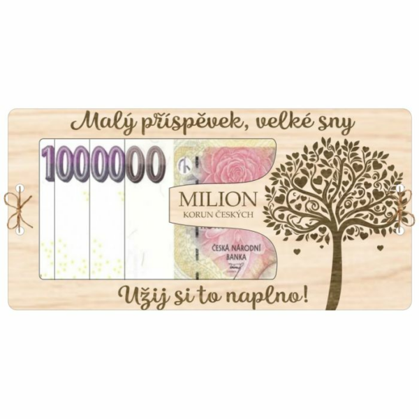 Kartička na peníze Milión – Příspěvek na velké sny