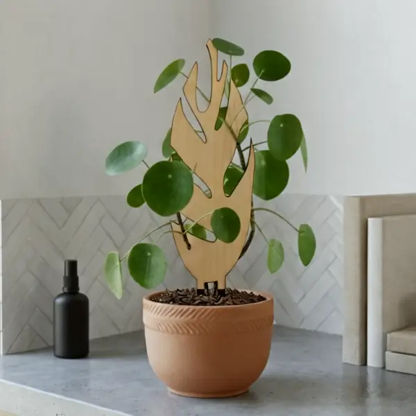 Dřevěná opora pro rostliny – Monstera
