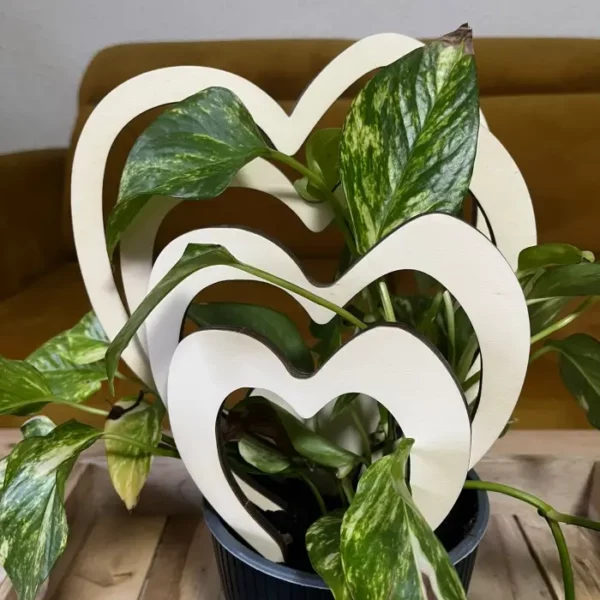 dřevěná opora pro rostliny - 5 srdíček