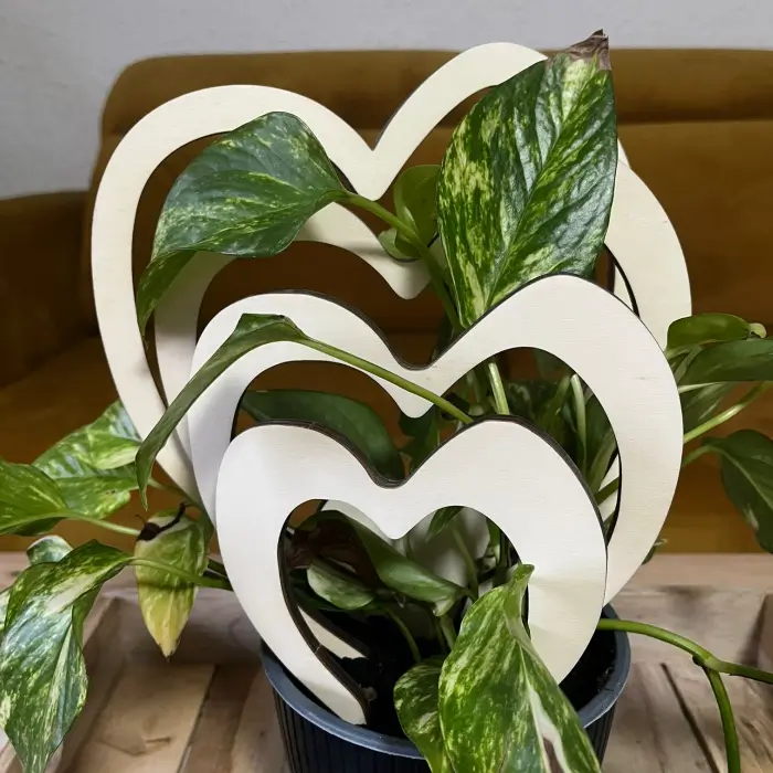 Dřevěná opora pro rostliny - 5 srdíček dřevěná opora pro rostliny - 5 srdíček