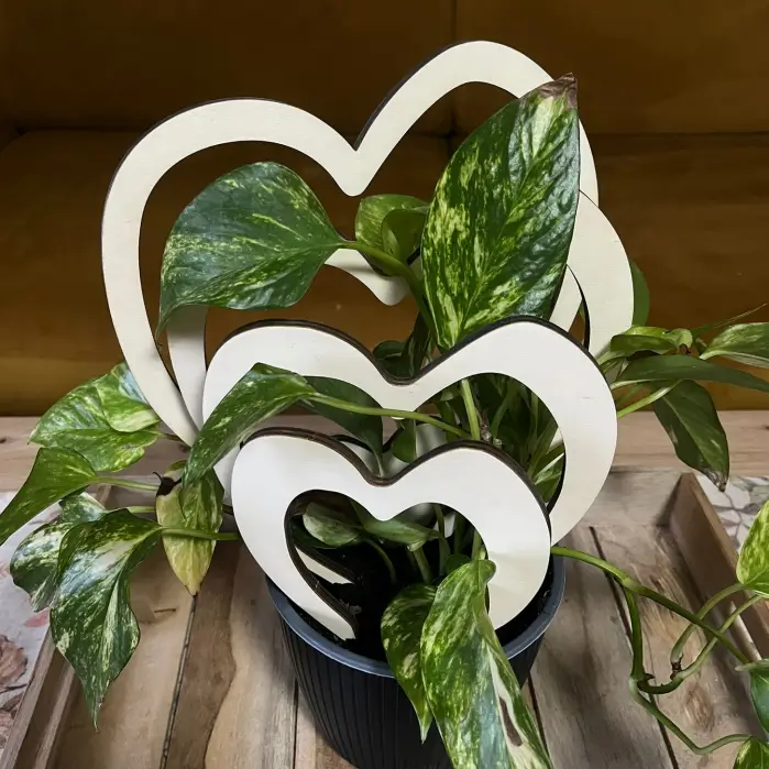 Dřevěná opora pro rostliny - 5 srdíček dřevěná opora pro rostliny - 5 srdíček2