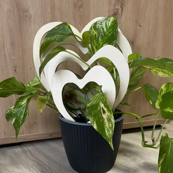 Dřevěná opora pro rostliny - 5 srdíček dřevěná opora pro rostliny - 5 srdíček3