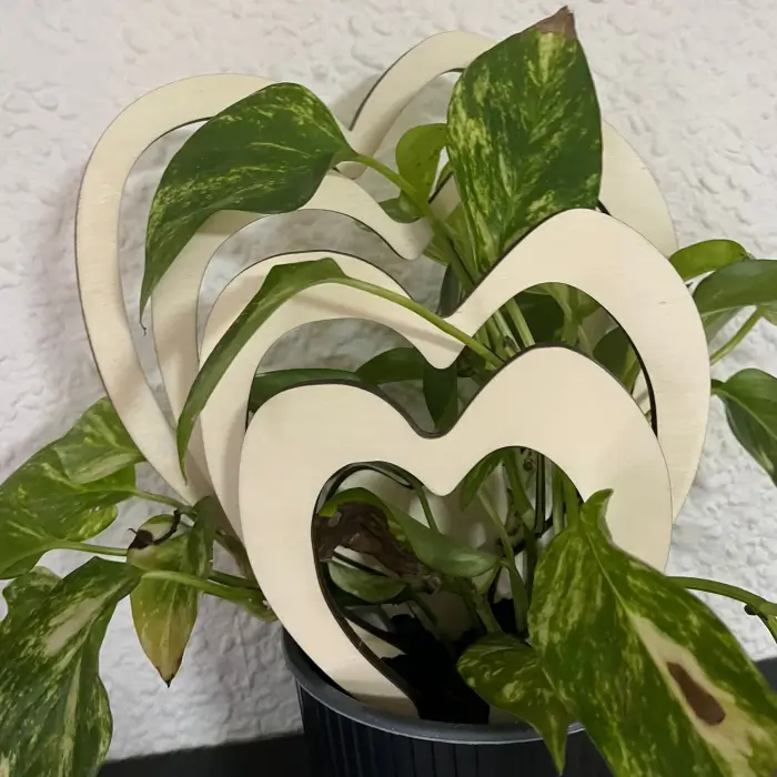 Dřevěná opora pro rostliny - 5 srdíček dřevěná opora pro rostliny - 5 srdíček4