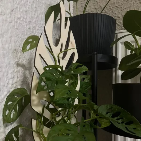 dřevěná opora pro rostliny - Monstera
