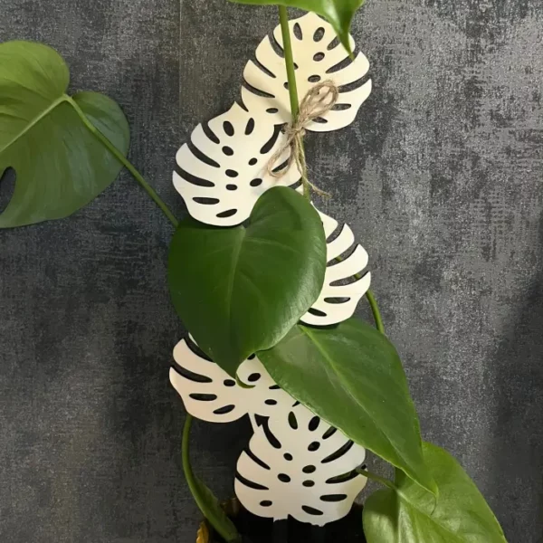 dřevěná opora pro rostliny - Monstery4